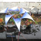 2002-1001_R.JPG