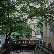 104-0486_IMG_R.JPG